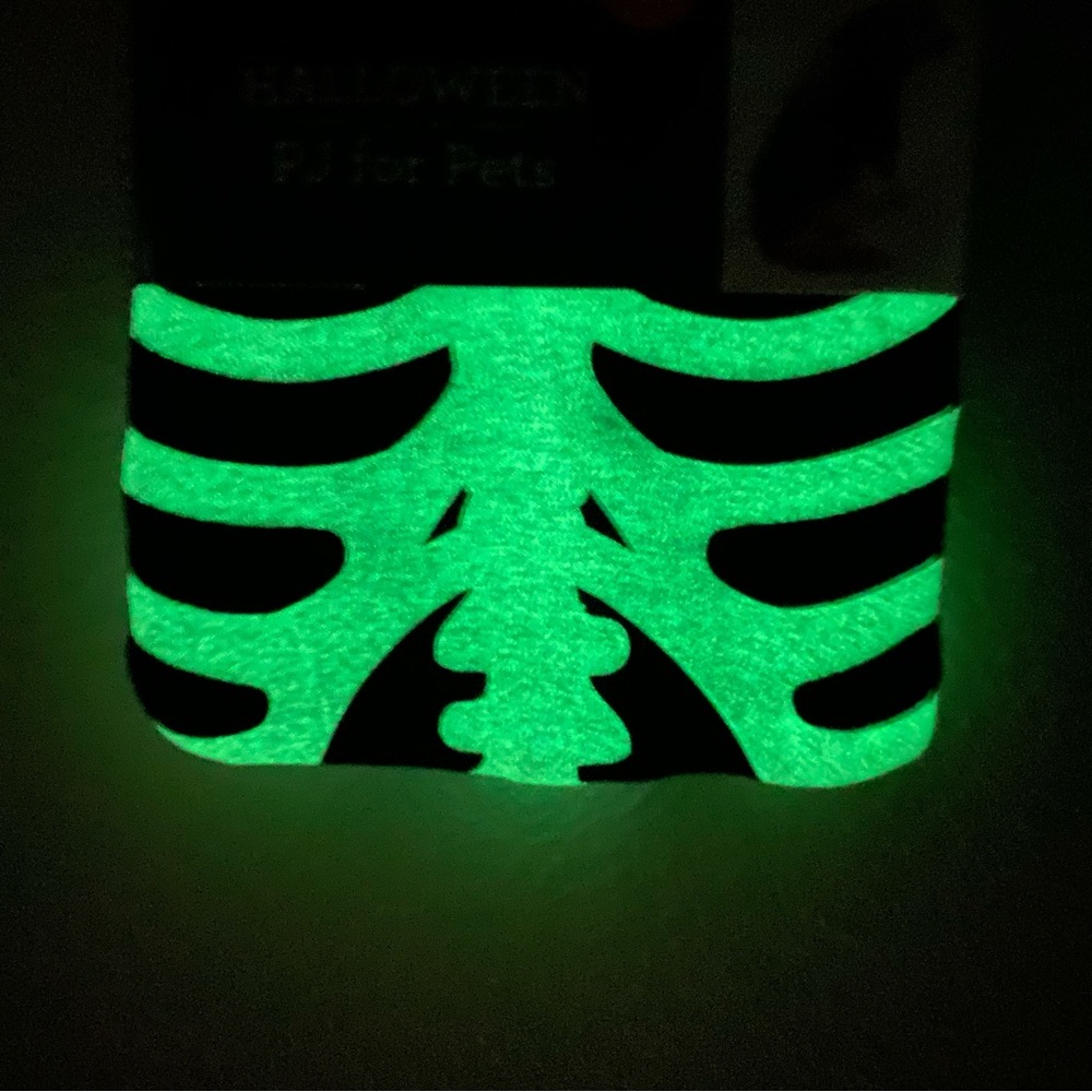 Way To Celebrate Halloween Skeleton Pet Pajamas Glow in the Dark Size 2X - Picture 5 of 5